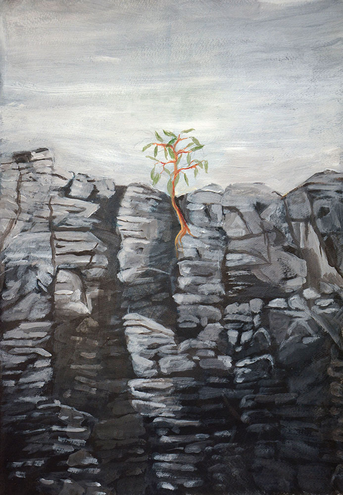Resilience of vegetation